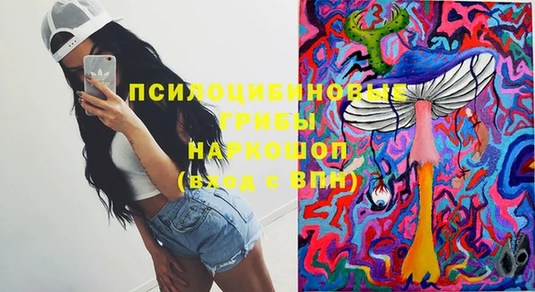 Альфа ПВП Мегион