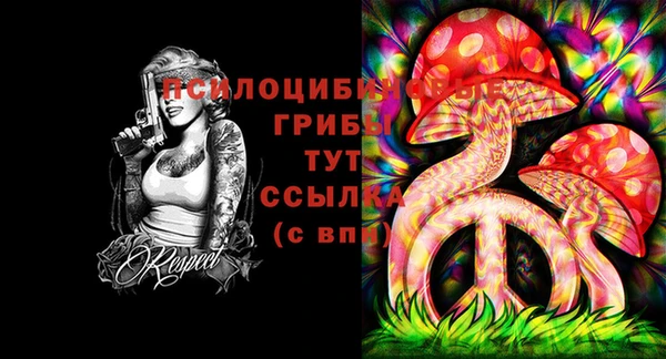 прущая мука Медвежьегорск