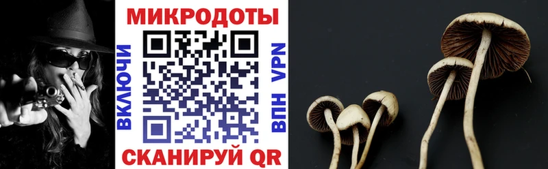 Галлюциногенные грибы Magic Shrooms  закладка  Тулун 