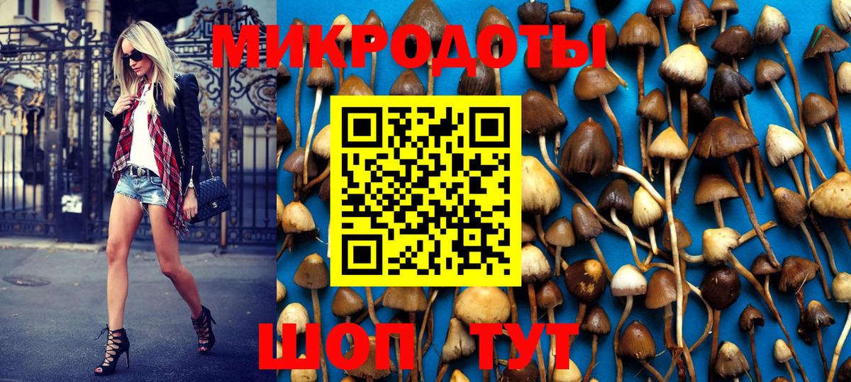 Псилоцибиновые грибы мухоморы Тулун