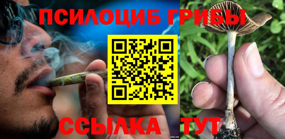 Тулун  Псилоцибиновые грибы Psilocybe  Вход с VPN 
