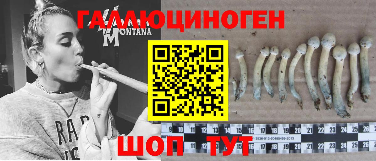 Галлюциногенные грибы GOLDEN TEACHER Тулун